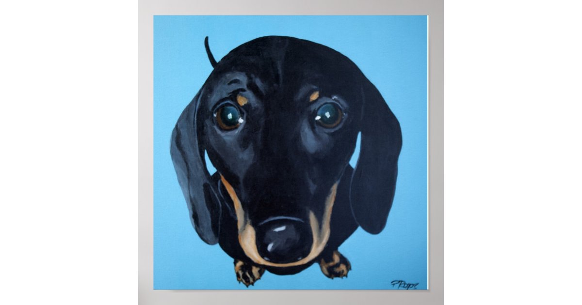 Dachshund Poster