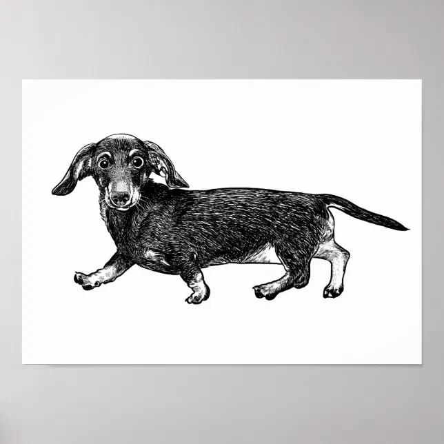 Dachshund Poster Wall Art Zazzle