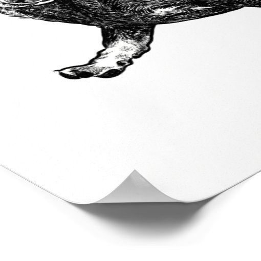 Dachshund Poster Wall Art Zazzle