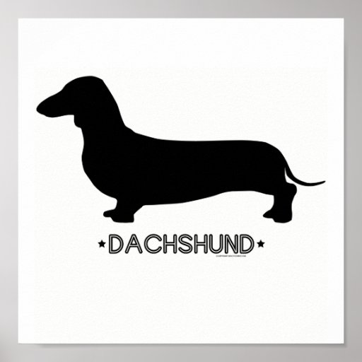 Dachshund Print | Zazzle