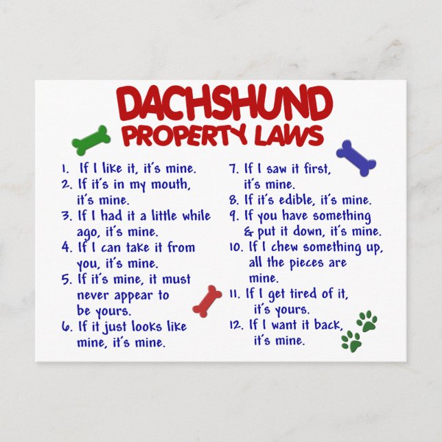 Dachshund Property Laws 2 Postcard (Front)