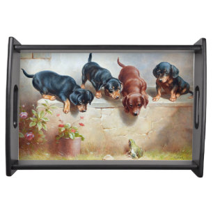 dachshund puppies and a frog serving tray