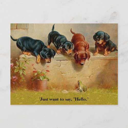 Dachshund Puppies Frog Hello alt Vintage art cpy Postcard