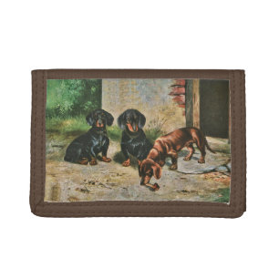 Dachshund Puppies wallet