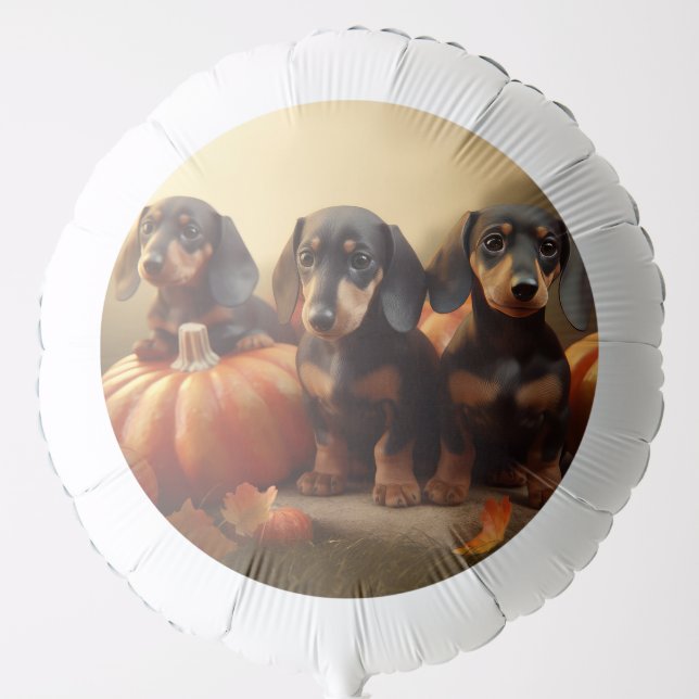 Dachshund Puppy Autumn Delight Pumpkin Balloon (Front)