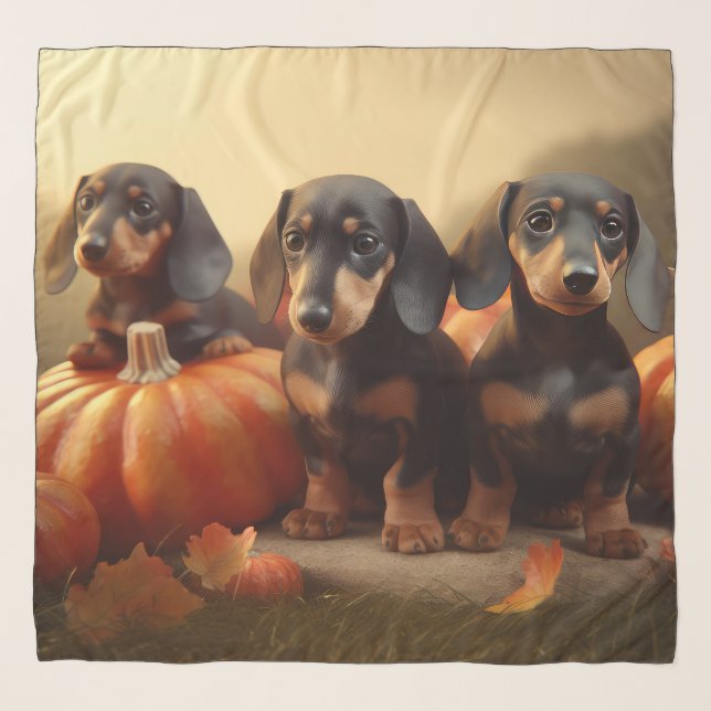 Dachshund Puppy Autumn Delight Pumpkin Scarf (Front)