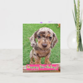Dachshund Puppy Birthday Card