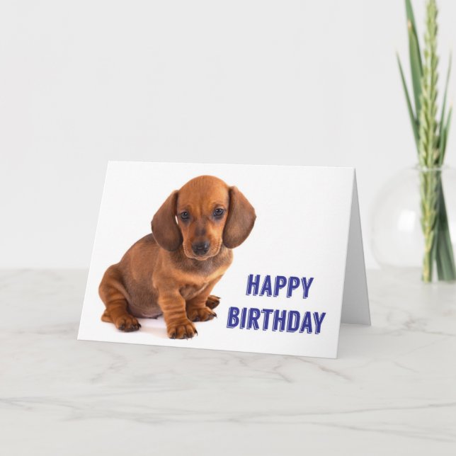 Dachshund Puppy Birthday Card (Front)