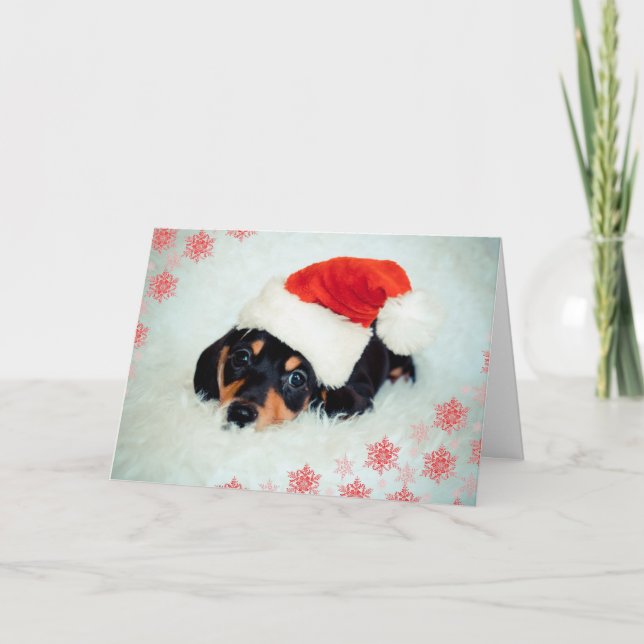 Dachshund puppy Christmas card (Front)