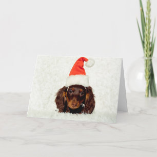 Dachshund puppy Christmas card