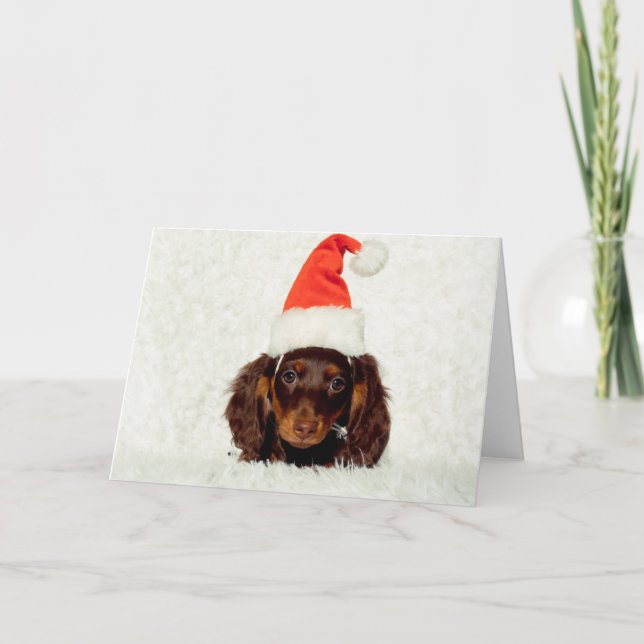 Dachshund puppy Christmas card (Front)