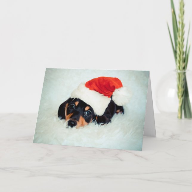 Dachshund Puppy Christmas Holiday Card (Front)