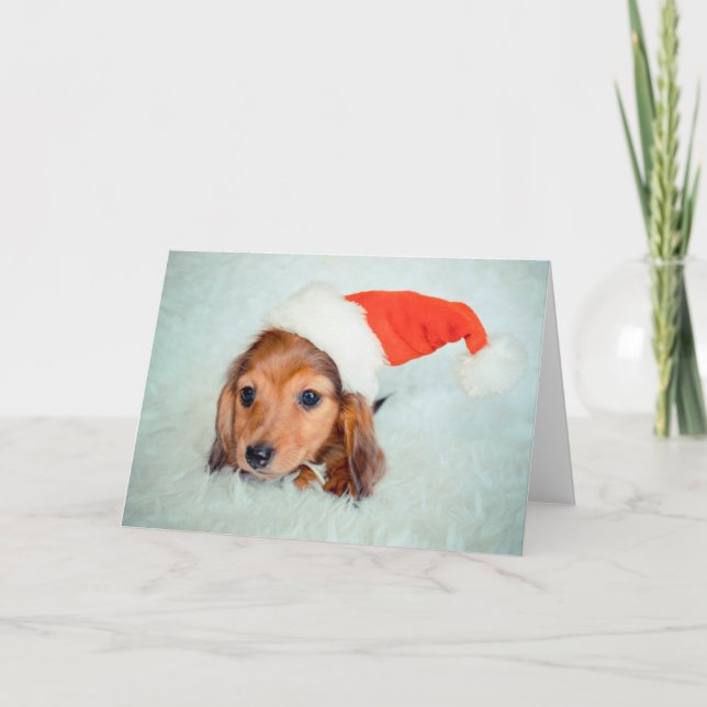 Dachshund Puppy Christmas Holiday Card (Front)