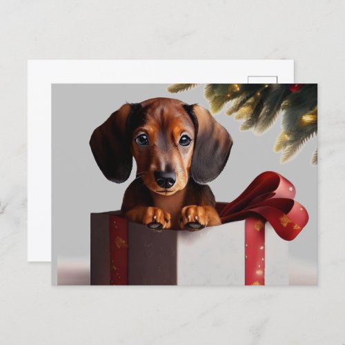 Dachshund Puppy Christmas Surprise Postcard