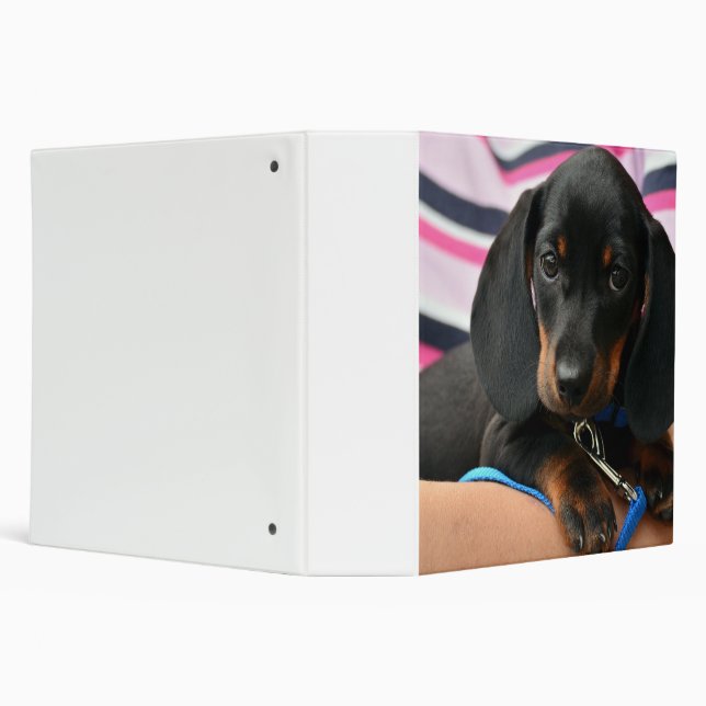 dachshund-puppy cute 3 ring binder (Background)