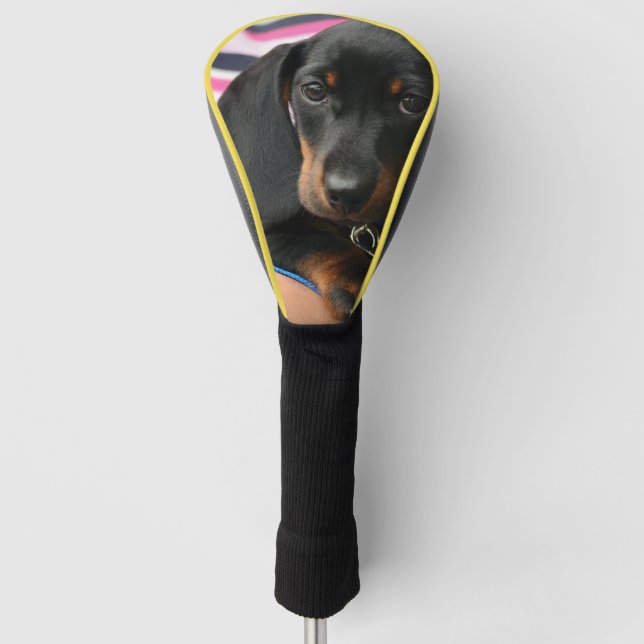 dachshund-puppy cute golf head cover (Front)