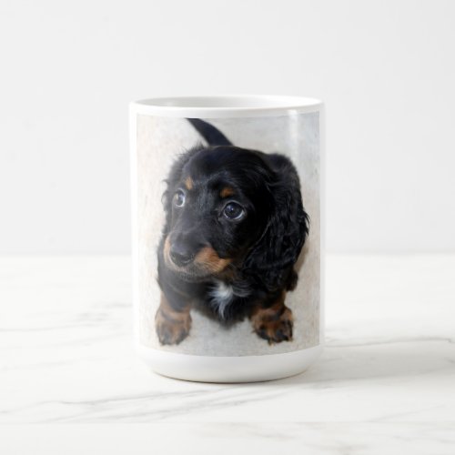 Dachshund puppy dog cute beautiful photo gift coffee mug