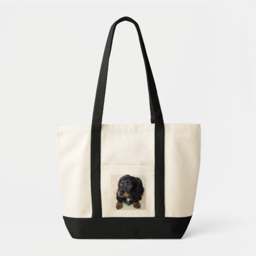 Dachshund puppy dog cute beautiful photo gift tote bag