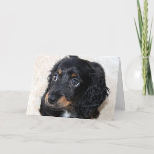 Dachshund puppy dog cute card