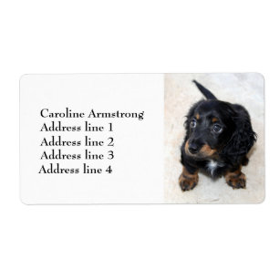 cd5 30 Personalized Cute Dogs  Return Address Labels Buy 3 get 1 free 