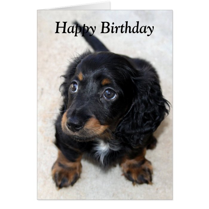 Dachshund puppy dog cute photo birthday card