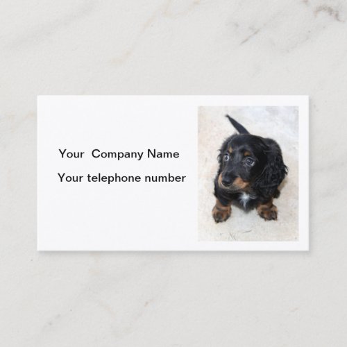 Dachshund puppy dog cute photo business card