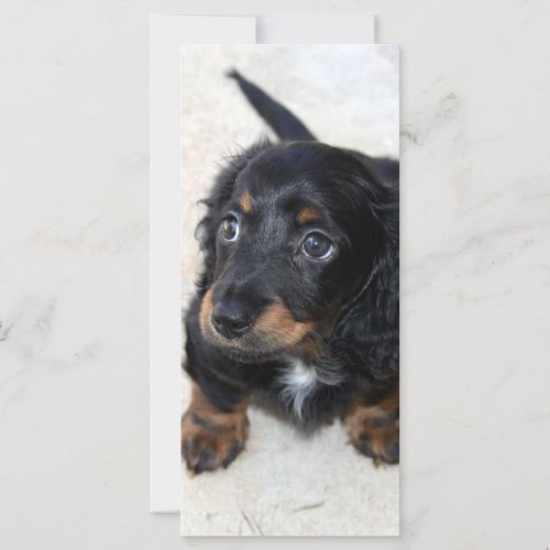 Dachshund puppy dog cute photo custom bookmark
