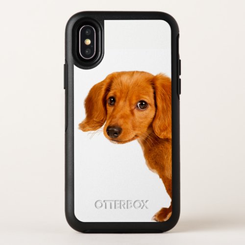 Dachshund puppy dog OtterBox symmetry iPhone x case