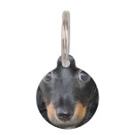 Dachshund Puppy Dog Pet Tag