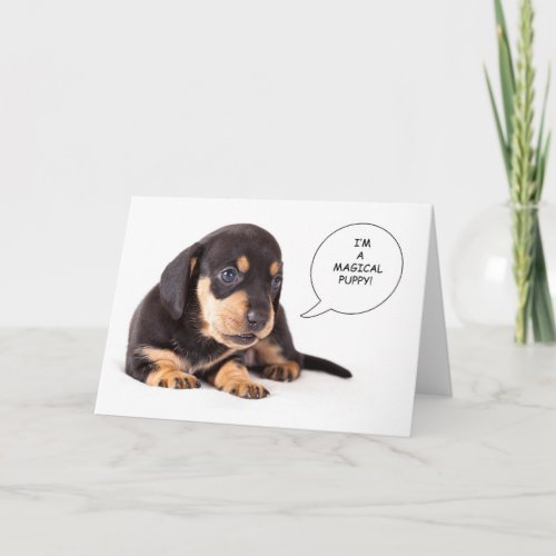 Dachshund Puppy Get Well Card