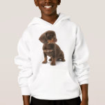 Dachshund Puppy Hooded Sweatshirt