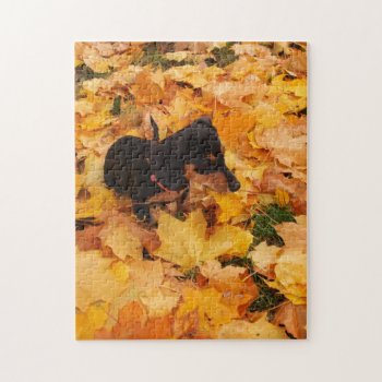 Dachshund Puppy Jigsaw Puzzle by Artnmore at Zazzle