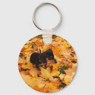 Dachshund puppy keychain