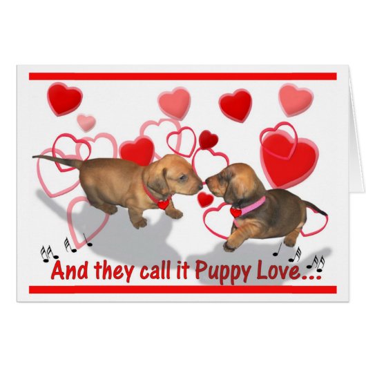 Dachshund Puppy Love Cards (Front Horizontal)