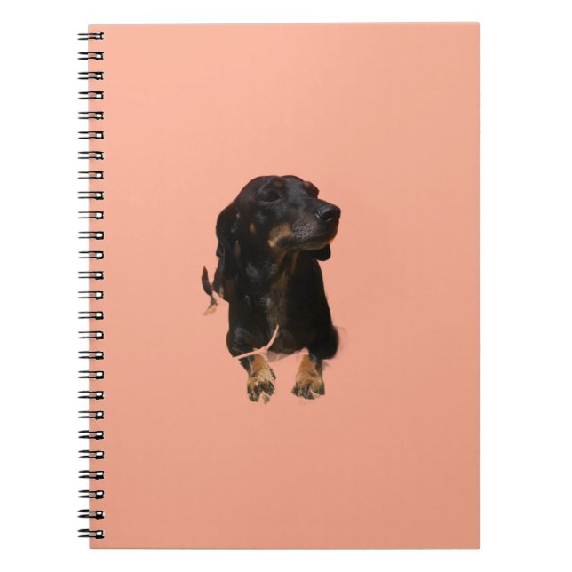 Dachshund Puppy Notebook (Front)