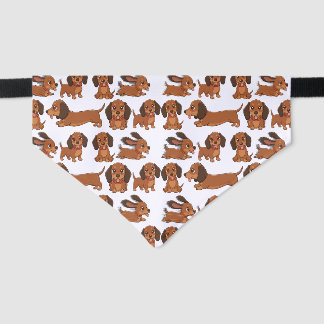 Dachshund Puppy Pattern Collar