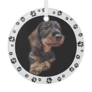 Dachshund Puppy Photo Paw Prints Glass Ornament