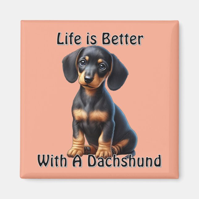 Dachshund Puppy Sitting and Looking with Innocent  Magnet (Front)