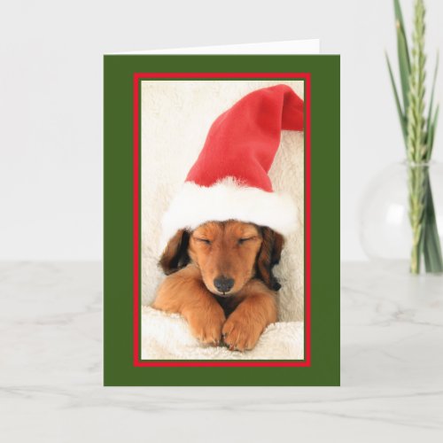 DACHSHUND PUPPY SLEEPING CHRISTMAS CARD