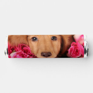 Dachshund Puppy Surrounded by Roses Breath Savers® Mints