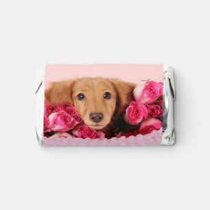 Dachshund Puppy Surrounded by Roses Hershey's Miniatures
