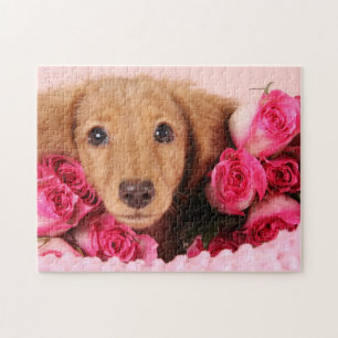 Dachshund Puppy Surrounded by Roses Jigsaw Puzzle