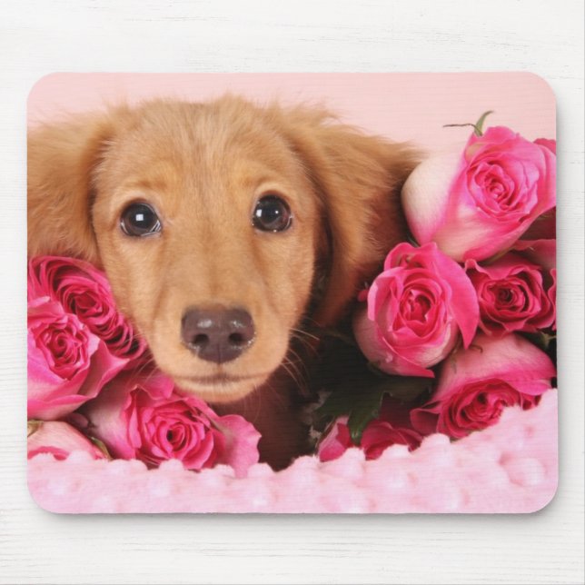 Dachshund Puppy Surrounded by Roses Mouse Pad (Front)