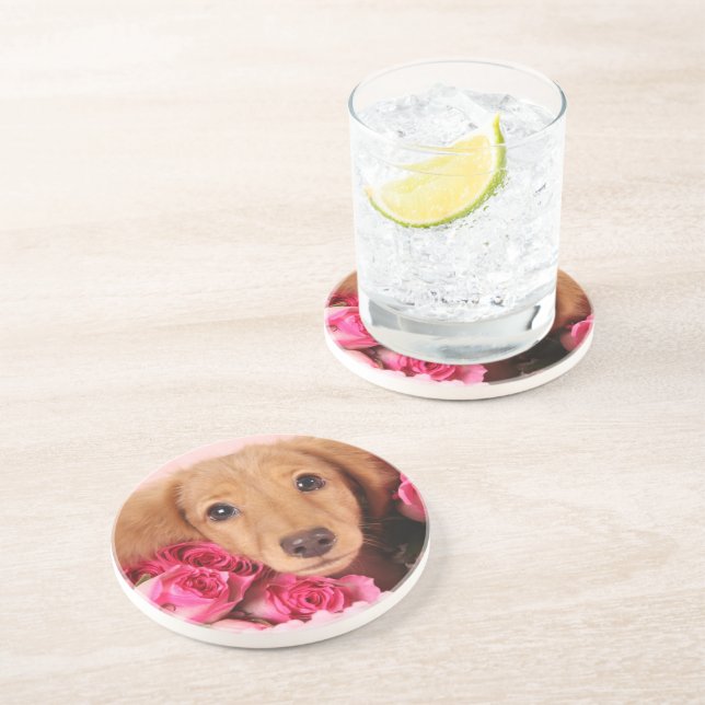 Dachshund Puppy Surrounded by Roses Sandstone Coaster (Side)