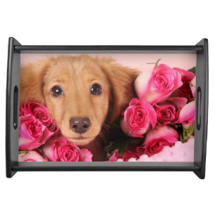 Dachshund Puppy Surrounded by Roses Serving Tray