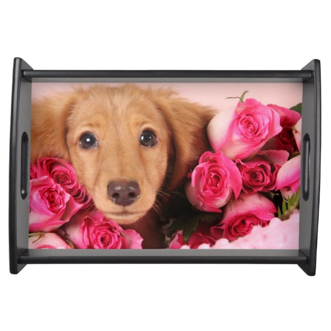 Dachshund Puppy Surrounded by Roses Serving Tray (Front)