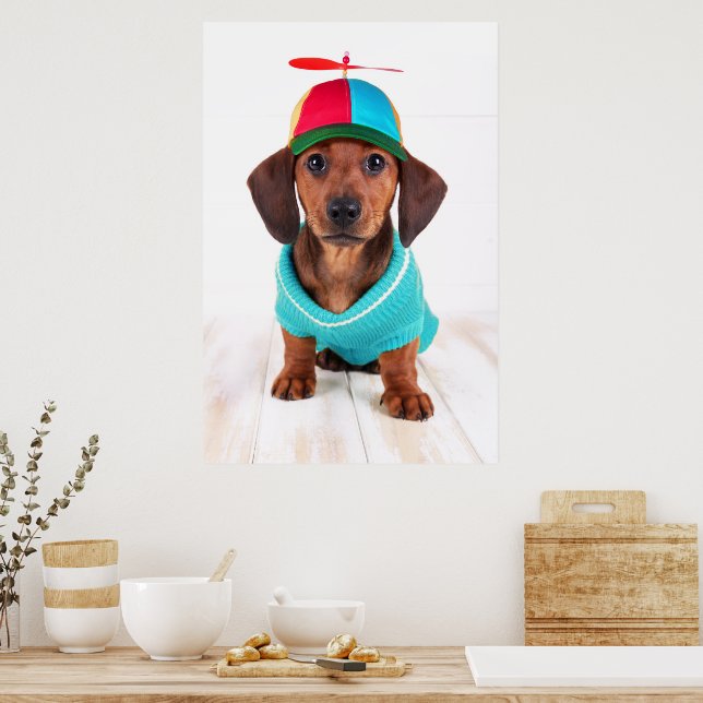 Dachshund Puppy Wearing Propeller Hat Poster Zazzle