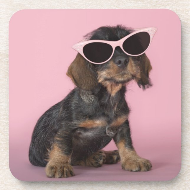 Dachshund Puppy Wearing Sunglasses Drink Coaster (Front)