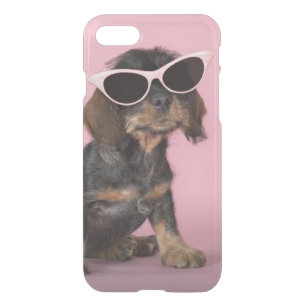 Dachshund Puppy Wearing Sunglasses iPhone SE/8/7 Case