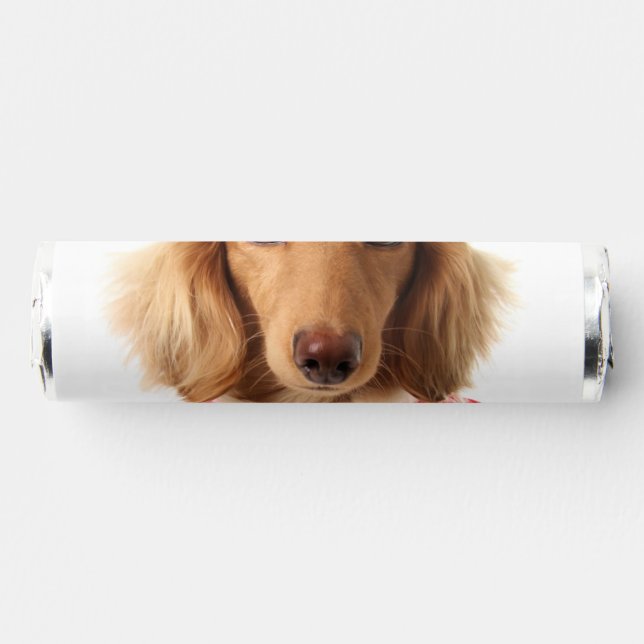 Dachshund Puppy Wearing Valentine's Outfit Breath Savers® Mints (Front)
